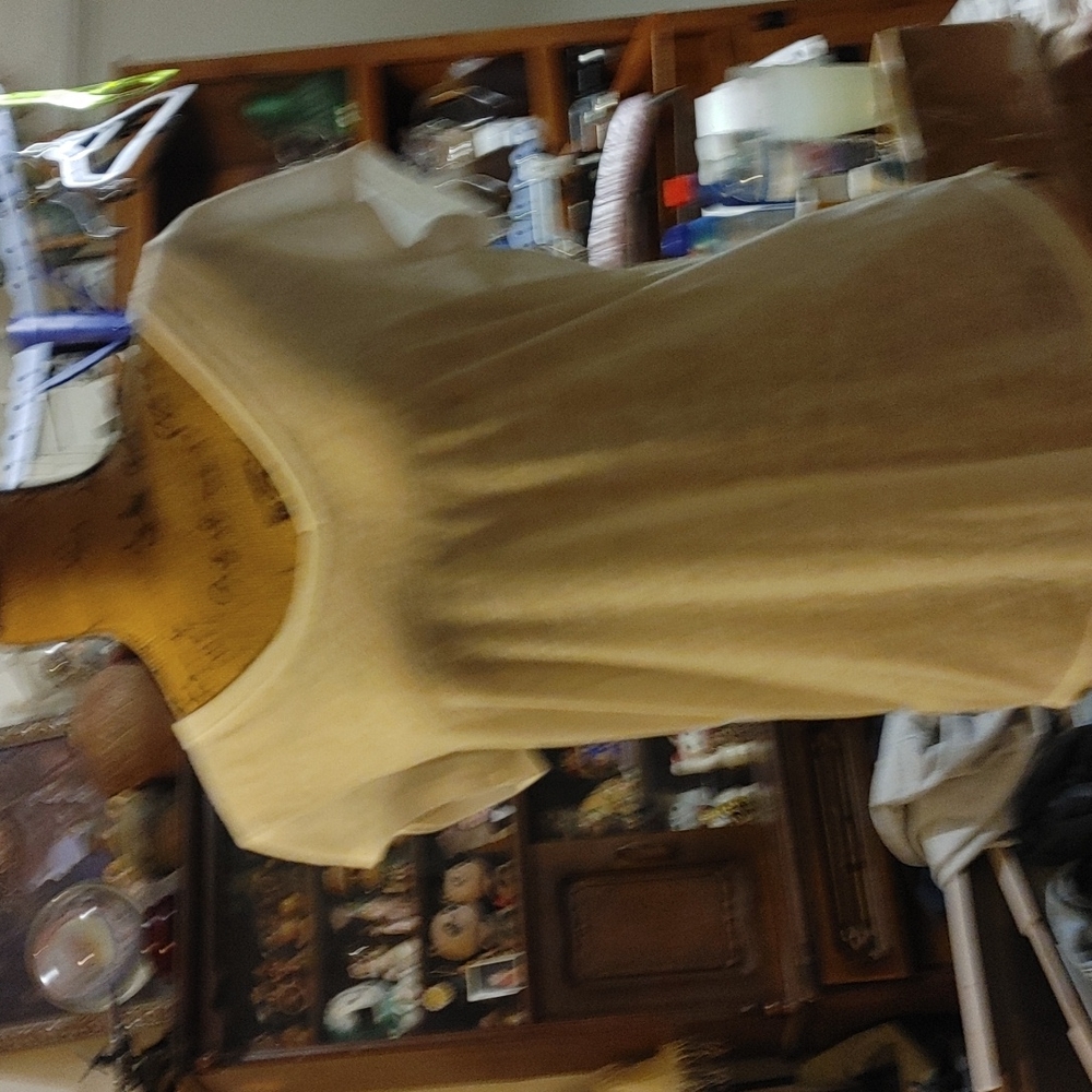 Beige sheer blouse